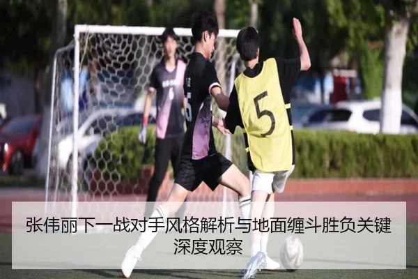 张伟丽下一战对手风格解析与地面缠斗胜负关键深度观察