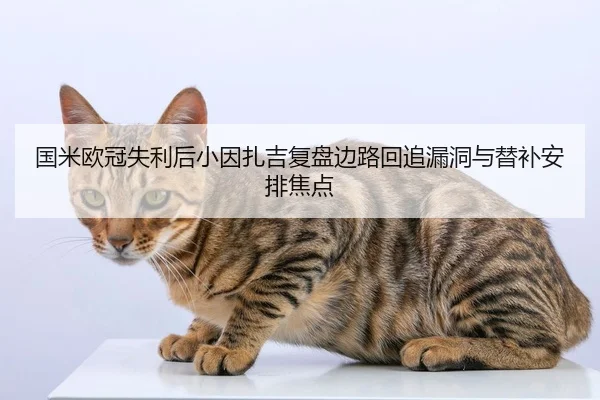 国米欧冠失利后小因扎吉复盘边路回追漏洞与替补安排焦点